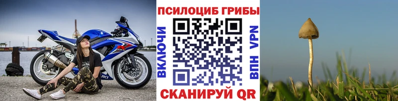 Псилоцибиновые грибы Psilocybine cubensis  hydra рабочий сайт  Дмитровск 